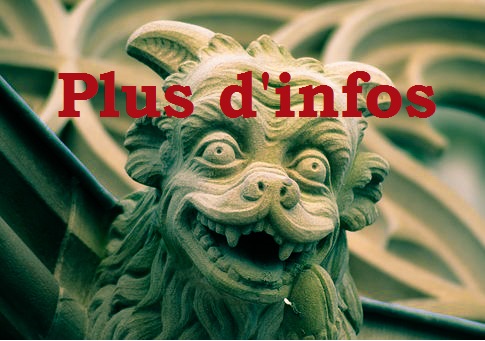 bouton plus d'info sur fond de gargouille office du tourisme de Strasbourg