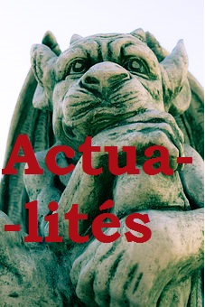 bouton actualités sur fond de Gargouille office du tourisme de Strasbourg